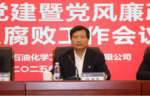 石化设计院召开2025年党建暨党风廉政建设和反腐败工作会议(图2)